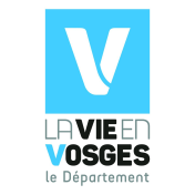 logo_v_cd88.png