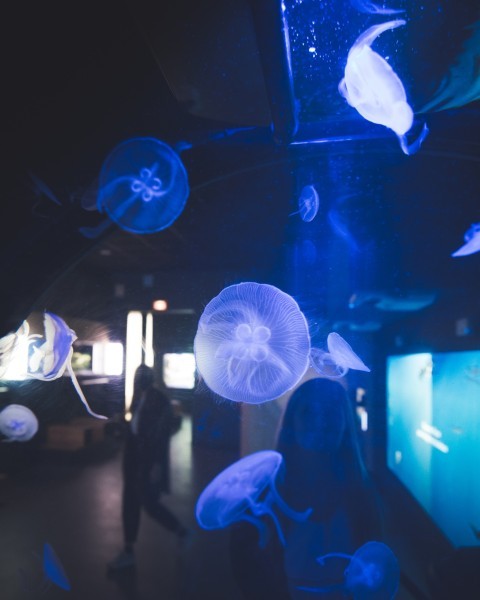 Musée Aquarium de Nancy