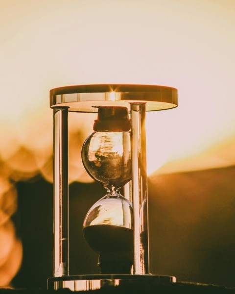 pexels_samerdaboul_1209998.jpg