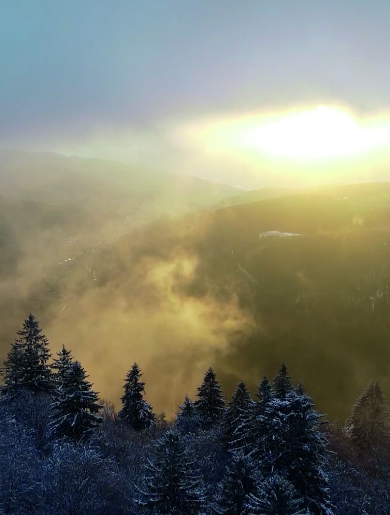 Paysage de neige