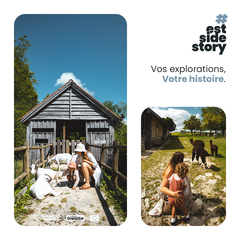 e25_template_1_1_parc_animalier.png
