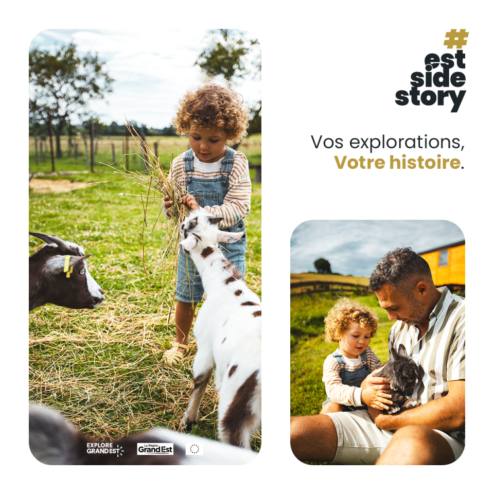 e25_template_1_1_parc_animalier_2.png