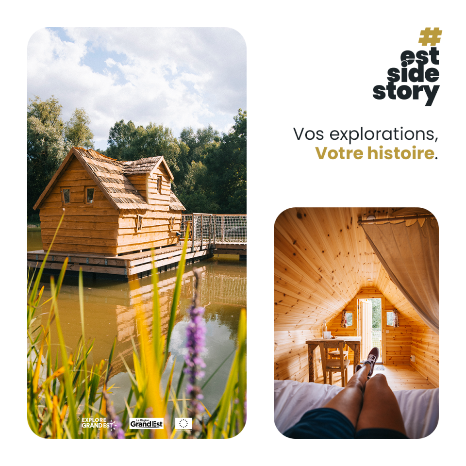 e25_template_1_1_insolite_2.png