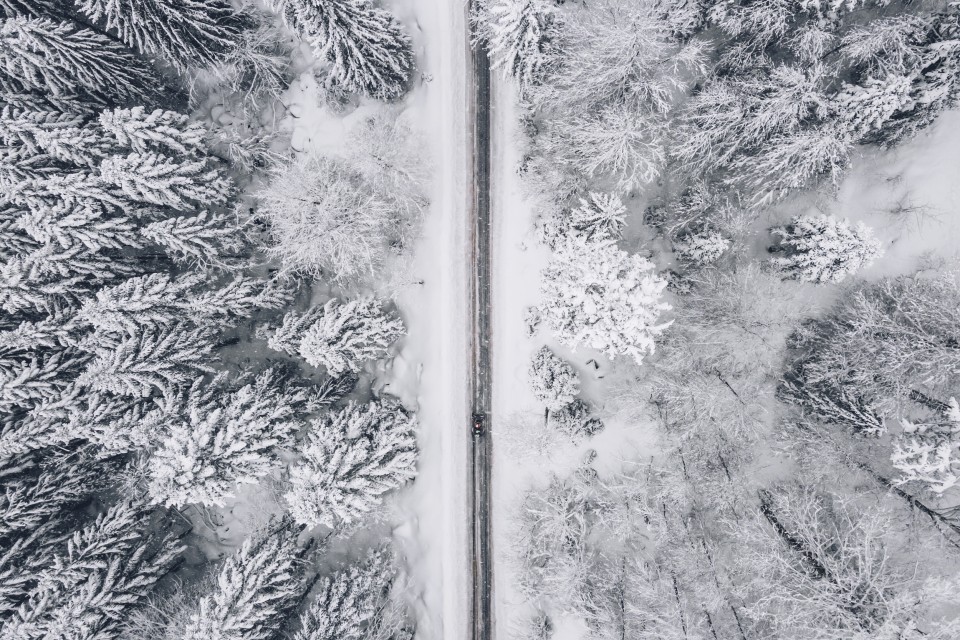 vue_aerienne_sur_les_vosges.jpg