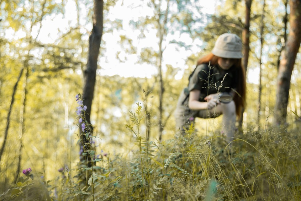 pexels_ekaterina_bolovtsova_5036755.jpg