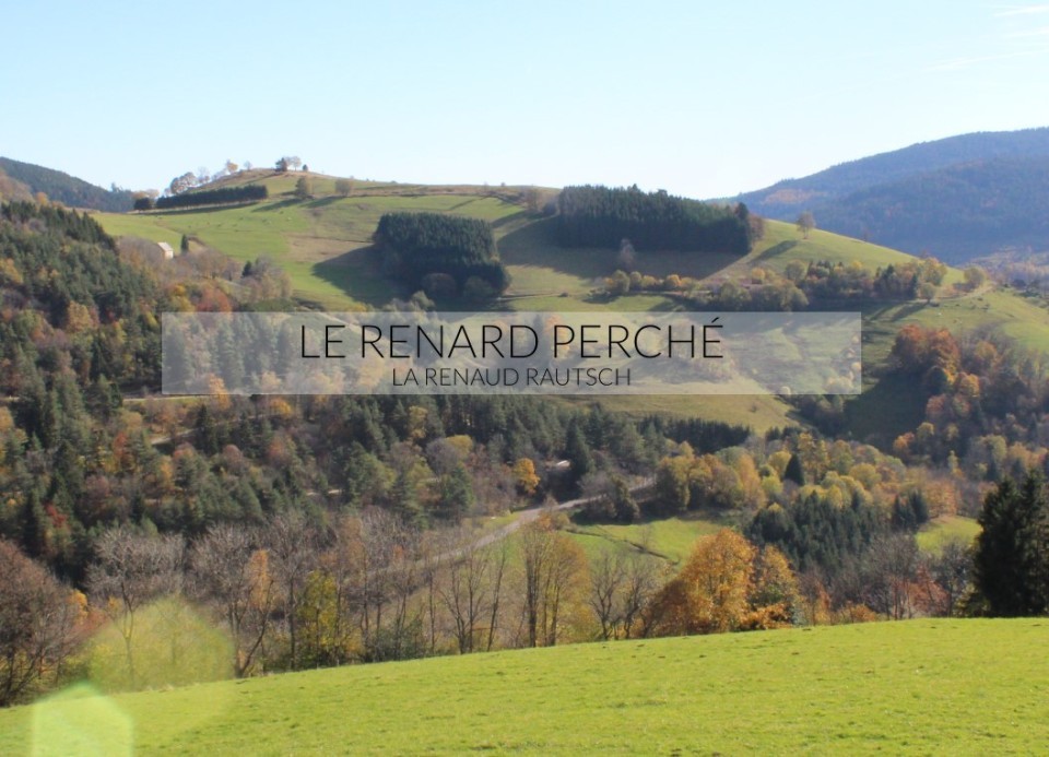 gite_renard_perche_2.jpg